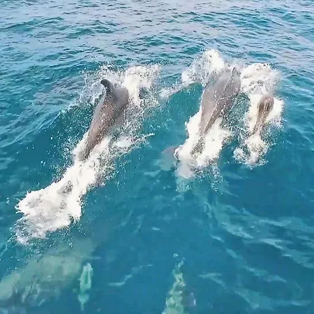 Апартаменты Paphos By Algarve Vacation *